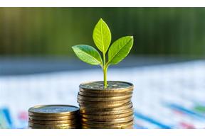 Green leaf sprouting from coin stacks
